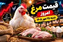 قیمت مرغ امروز شنبه 25 مهر 1405 /  مرغ کامل چقدر شد؟