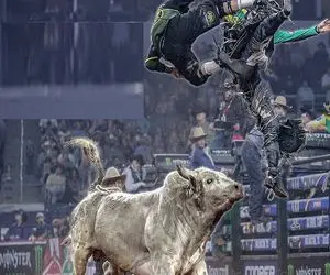 تاخت و تاز خونین؛ گاو سرکش تو بازی زد زیر گاوچرون پرتابش کرد دنده‌هاش شکست