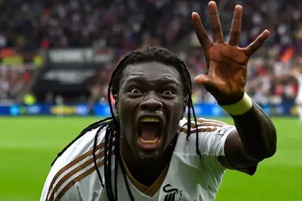 Bafétimbi Gomis shayanews