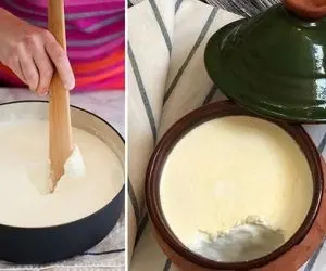 ترفندهای ماست زدن؛ چرا ماست های خونگی شل و بی مزه میشن؟