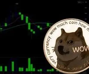 کدامیک از دارندگان دوج کوین برنده هستند؟