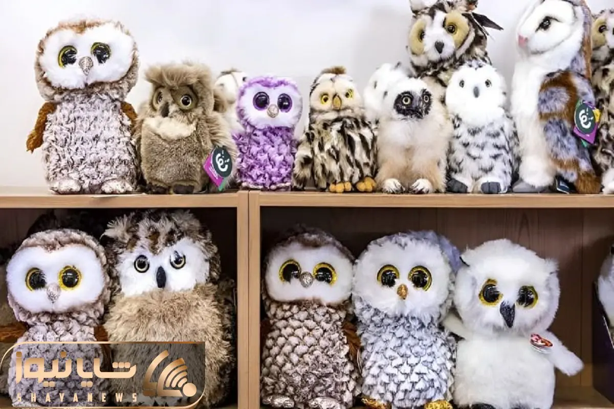 بازی فکری؛ باهوش ترین افراد جهانم تو پیدا کردن جغد بین اینهمه عروسک گیج شدن