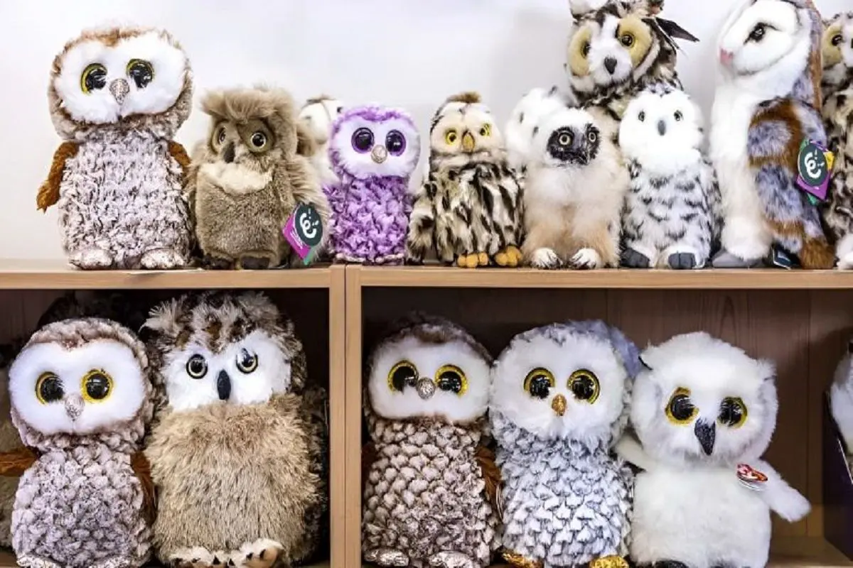 تست-بینایی-یافتن-جغد-واقعی-780x470