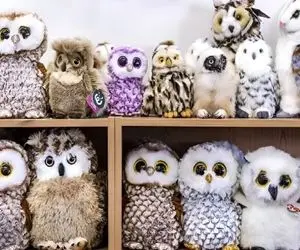 بازی فکری؛ باهوش ترین افراد جهانم تو پیدا کردن جغد بین اینهمه عروسک گیج شدن