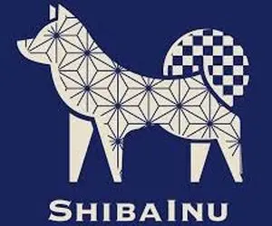 چرا تیم شیبااینو دست به کارشدند؟