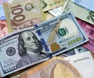 قیمت دلار امروز دوشنبه 8 دی 1404؛ دلار از 143 هزار تومان عبور میکند؟