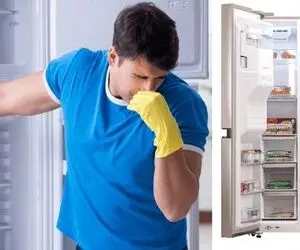 ترفندای تمیز کردن و رفع بوی بد یخچال / خیلی ساده بوی خوب یخچال رو به خودت هدیه بده