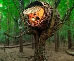 معماری خلاقانه؛ آقاهه یه کلبه استوانه ای ساخت گذاشت روی درخت انگار توی لونه خوابیده