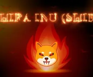 حماسه ای شوکه کننده از شیبااینو!!