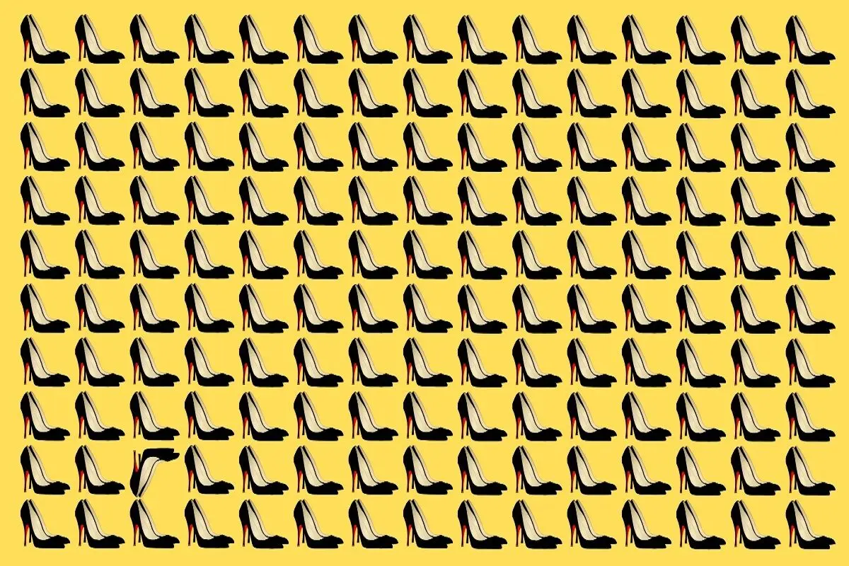ش
