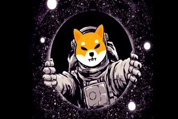 SHIBAINU