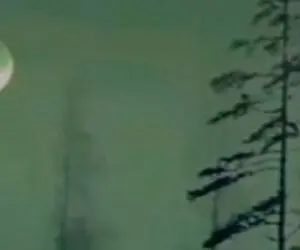 آواز احساسی؛ با این آهنگ هر کی عاشقم نباشه یاد شکست عشقی نخوردش میفته