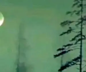 آواز احساسی؛ با این آهنگ هر کی عاشقم نباشه یاد شکست عشقی نخوردش میفته