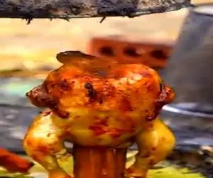 آموزش آشپزی؛ نحوه ی پخت مرغ بریون لذیذ تو طبیعت بدون نیاز به زغال با کاه و برگای خشک