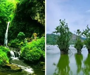 طبیعت بکر و رویایی آستارا / همه رفتن شمال شلوغ تو برو جای که فقط خدا اونجا قدم برداشت