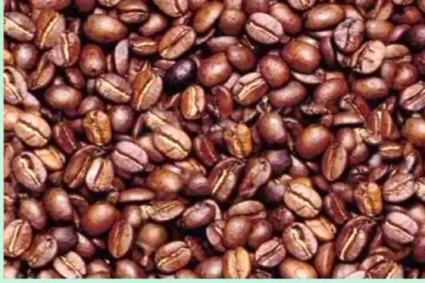 بازی فکری؛ شاه نشین باهوشا بین دونه های قهوه چهره پنهان رو پیدا کنن