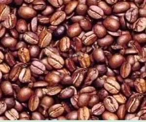 بازی فکری؛ شاه نشین باهوشا بین دونه های قهوه چهره پنهان رو پیدا کنن