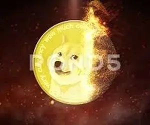 زمان خداحافظی دوج کوین؟