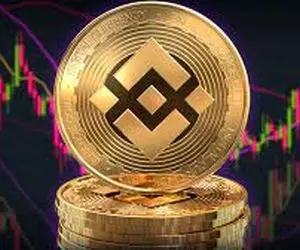 بایننس سود آورترین ارز؟