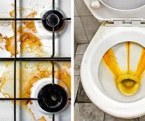 ترفندهای خانگی؛ ۵ نکته و ترفند هوشمندانه برای تمیزگاری آشپزخانه