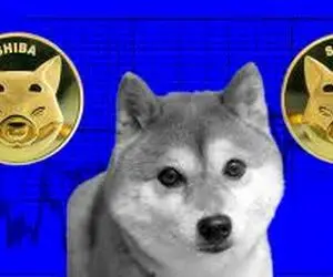 بااین اتفاق مهر مرگ شیبااینو زده میشود؟