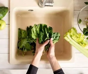 ترفندای خونگی تازه نگهداشتن سبزی خوردن؛ اینجوری سُفرت با زمرد سبز تزیین کن