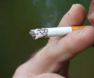 سیگار عنبر نسارا چیست؟ / 9 خواص مهم عنبر نسارا