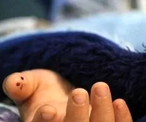 سقوط مرگبار دختر نوجوان؛ قتل یا حادثه؟!