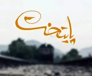 پایتخت ویدئوز؛ وقتی رحمت خروس باز نسخه پیچ خروس های محله میشه و واسشون دارو میده