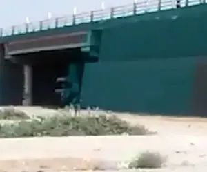 خودکشی دلخراش یک راننده با پریدن از بالای پل در برازجان