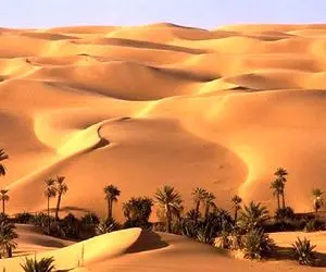 (عکس) سنگ عجیبی که در عربستان سعودی پیدا شد