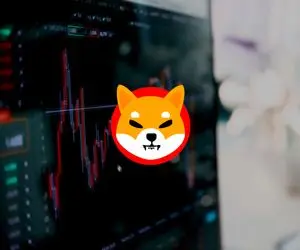 دست مریزاد به شیبااینو!!