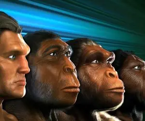 دانستنی‌ها‌؛ 6 میلیون سال تغییر و تحول صورت انسانها رو در یک دقیقه ببین