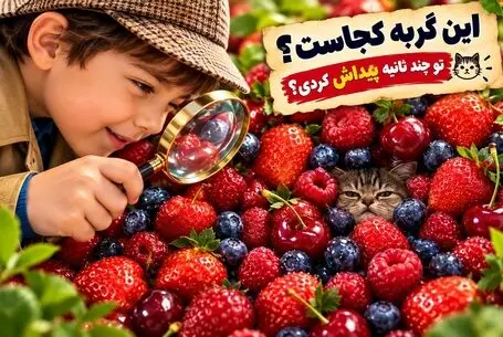 بازی فکری؛ گربه خواب آلود را بین کلی میوه قرمز پیدا کن!
