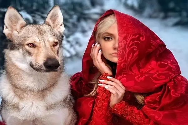 مهناز افشار در کنار یک سگ