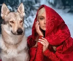 مهناز افشار با لباس سرخ در کنار سگی بزرگ!