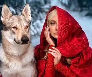 مهناز افشار با لباس سرخ در کنار سگی بزرگ!