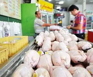 مرغ نیمایی ۱۰ روز دیگر به بازار می‌ آید