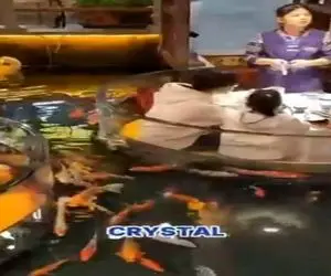 معماری خلاقانه؛ رستوران آکواریومی ساختن دورشونو آب گرفته میشینن کنار ماهیا غذا میخورن