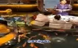 معماری خلاقانه؛ رستوران آکواریومی ساختن دورشونو آب گرفته میشینن کنار ماهیا غذا میخورن