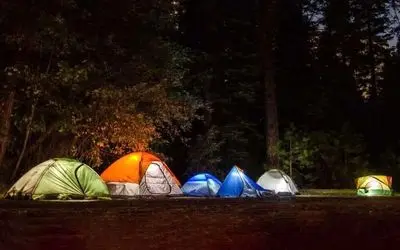 اقامت شبانه در جنگل‌های آمل ممنوع شد