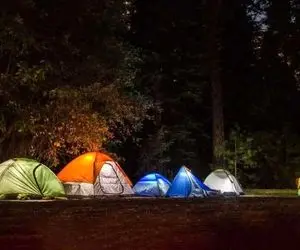 اقامت شبانه در جنگل‌های آمل ممنوع شد