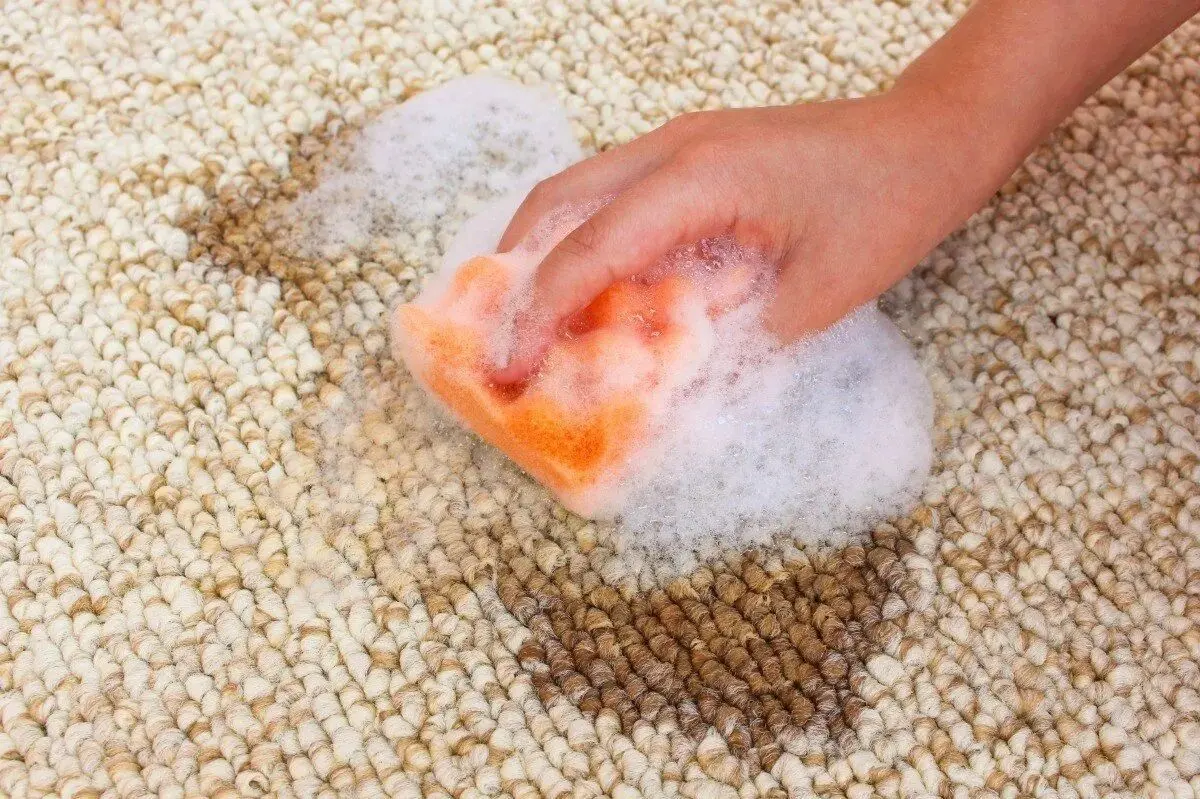 پاک کردن روغن از روی فرش
