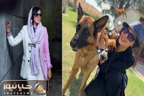 leila bolukat shayanews