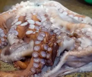 غذای خیابانی؛ تو کره اختاپوس زنده میندازن تو آب جوش جون که داد باهاش سالاد درست میکنن