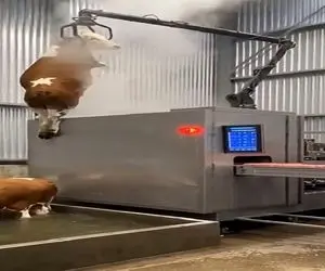 دامپروری نوین؛ گاو رو درسته انداختن تو دستگاه بخار گوشت و استخونشو له کرد شد سوسیس