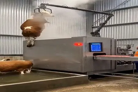 دامپروری نوین؛ گاو رو درسته انداختن تو دستگاه بخار گوشت و استخونشو له کرد شد سوسیس