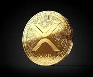 عملکرد ریپل بیانگر چه چیزی می باشد؟!