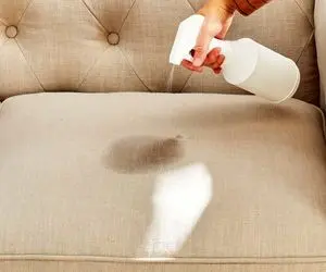 خونه تکونی عید؛ با این محلول هر چی لکه روی مبل باشه محو میشه