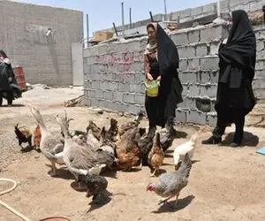 اعلام زمان پرداخت عیدی روستائیان